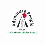 API LOGO (2) (1)